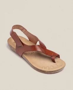 Store Flat Sandal IBIZA-174 Brown Flat Sandals