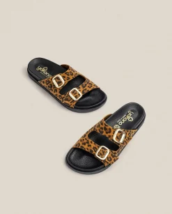 Clearance Flat Sandal MORENA-004 Leopard Flat Sandals
